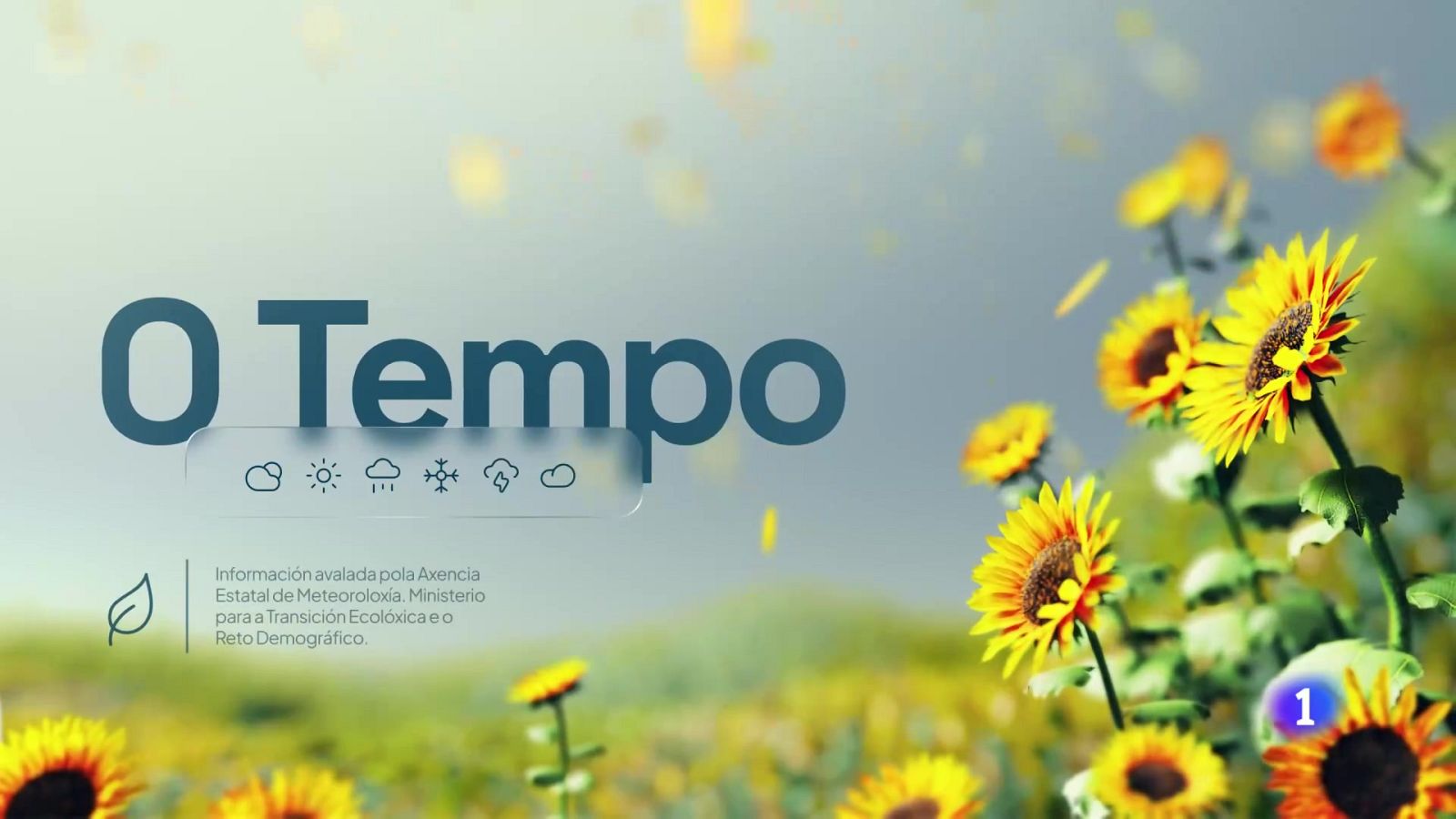 El tiempo en Galicia    30-06-2025 | Ver