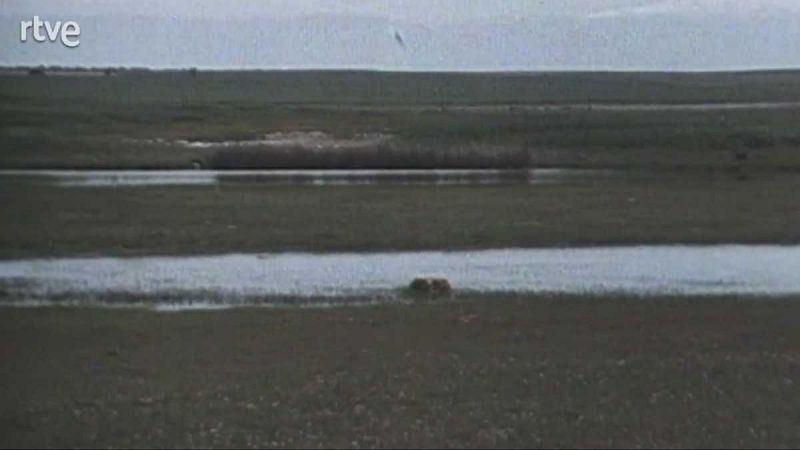 La nave Tierra - Lagunas - La nave Tierra | Ver