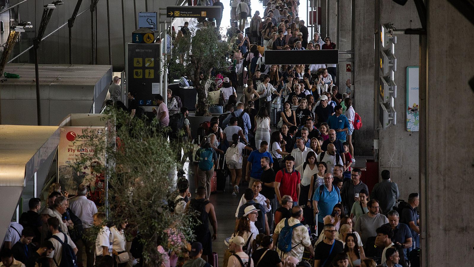 Largas colas en el control de seguridad de la terminal 4 de Barajas - Diario 24 | Ver