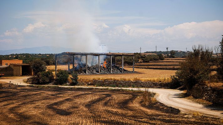 Informativo 24h - Informativo 24 horas - 14h - 02/07/25