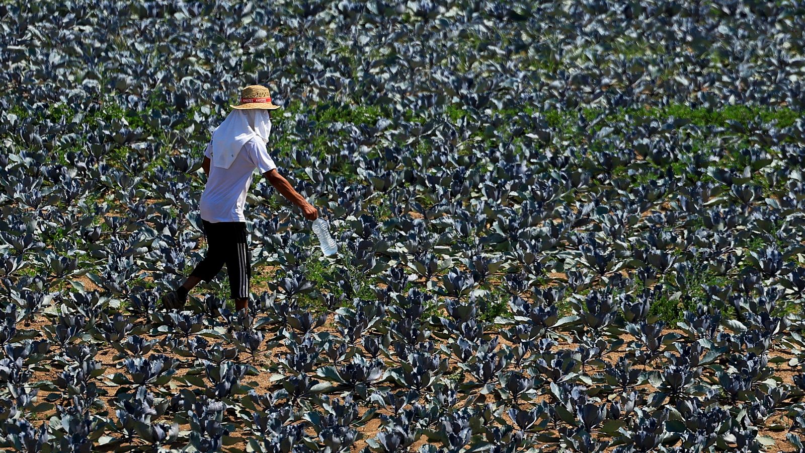 Mueren dos hombres por las altas temperaturas