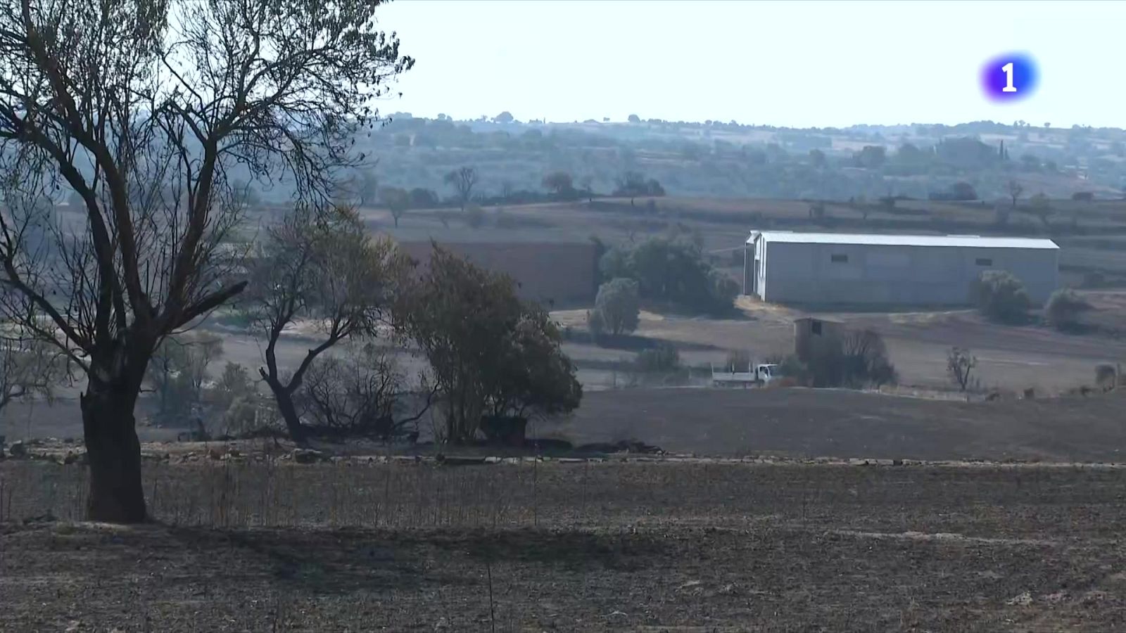 Bombers i pagesos vigilen les zones cremades a la Segarra - L'Informatiu | Veure