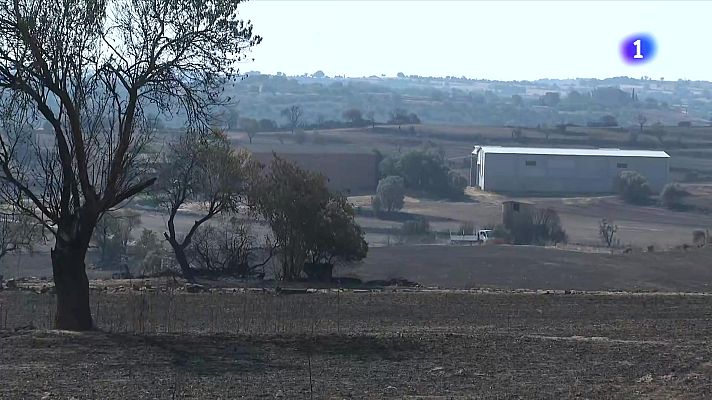 L'Informatiu - Bombers i pagesos vigilen les zones cremades a la Segarra