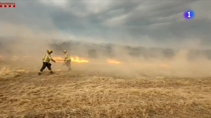 L'Informatiu - Com actuar si un incendi forestal ens sorprèn al cotxe o a casa