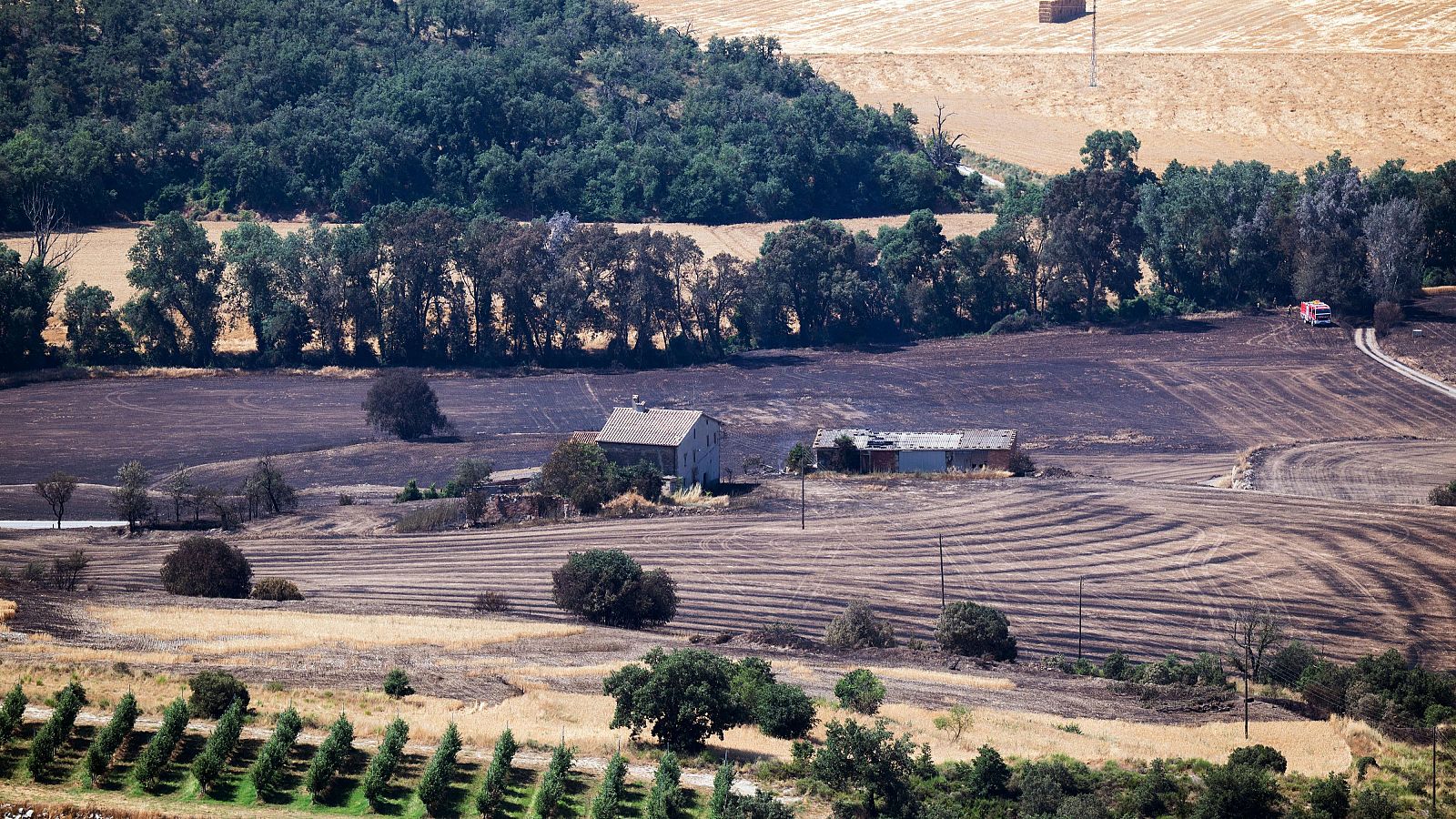 Informativo 24 horas - 14h - 03/07/25 - Informativo 24h | Ver