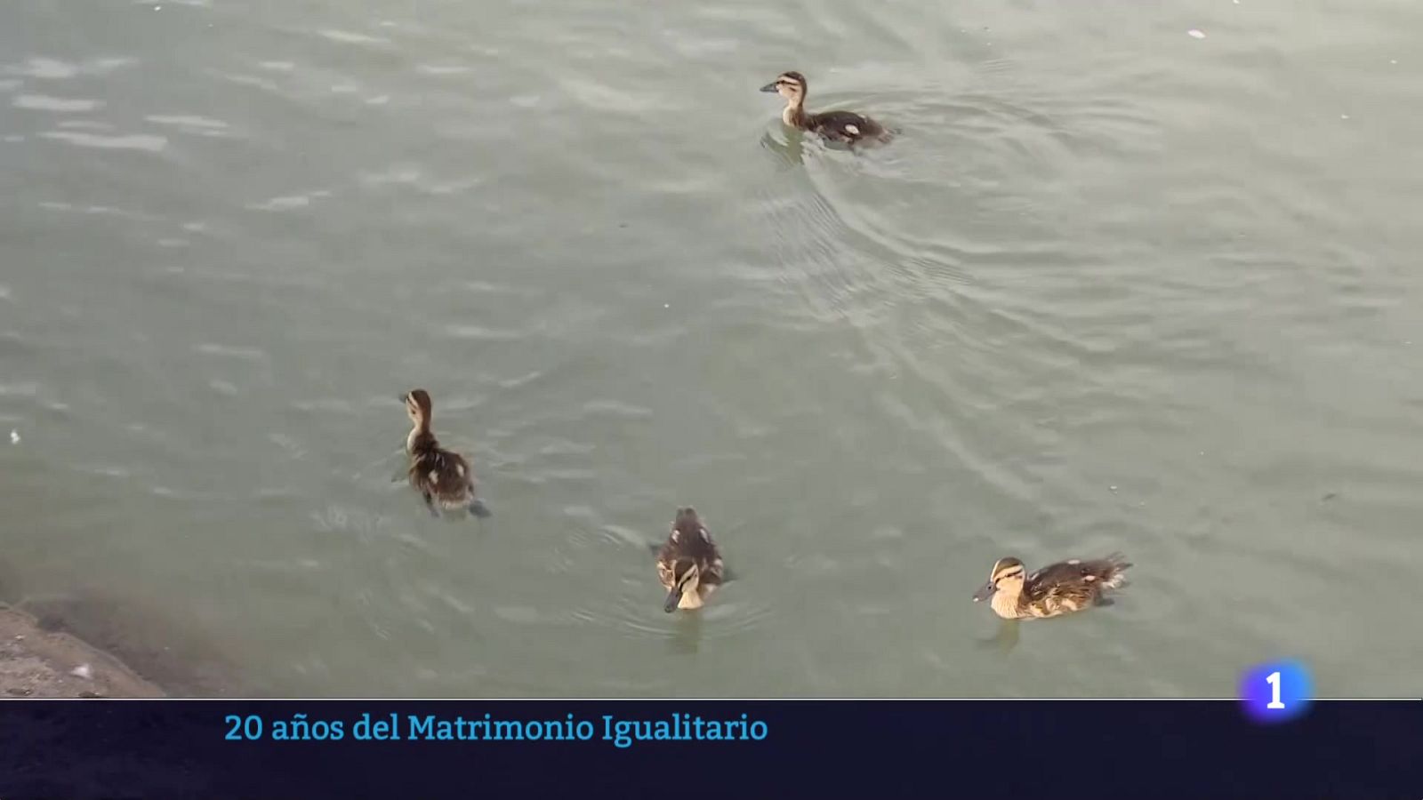 Informativo Telerioja 2 - 03-07-2025 - Ver ahora | Ver