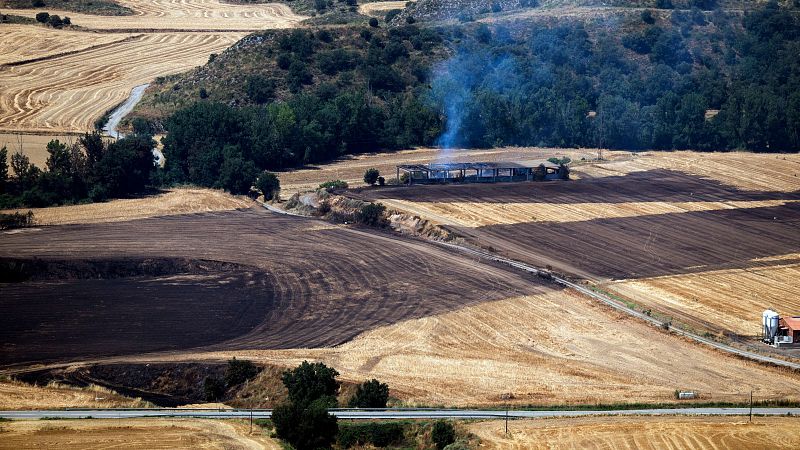 ¿Cómo actuar en caso de incendio? - Telediario 1 | Ver