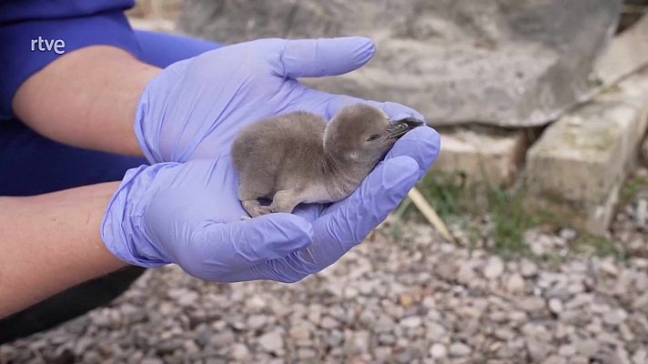 Aquí la Tierra - Aquí la Tierra - 03/07/25