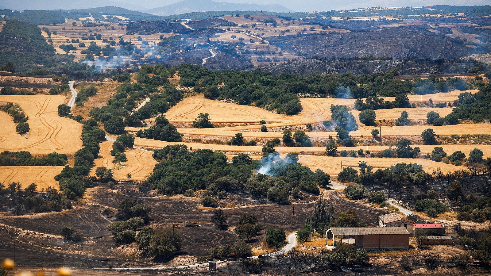 Los bomberos trabajan para controlar los puntos calientes del incendio de Lleida | Ver