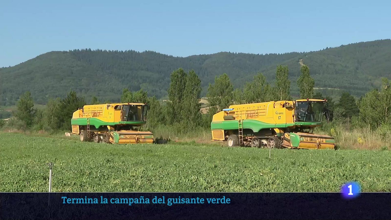 Telerioja en 2 - 04-07-2025 - Ver ahora | Ver