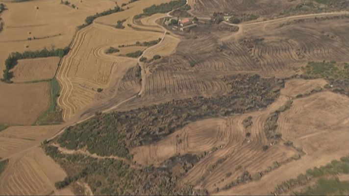 L'Informatiu - Incendi forestal