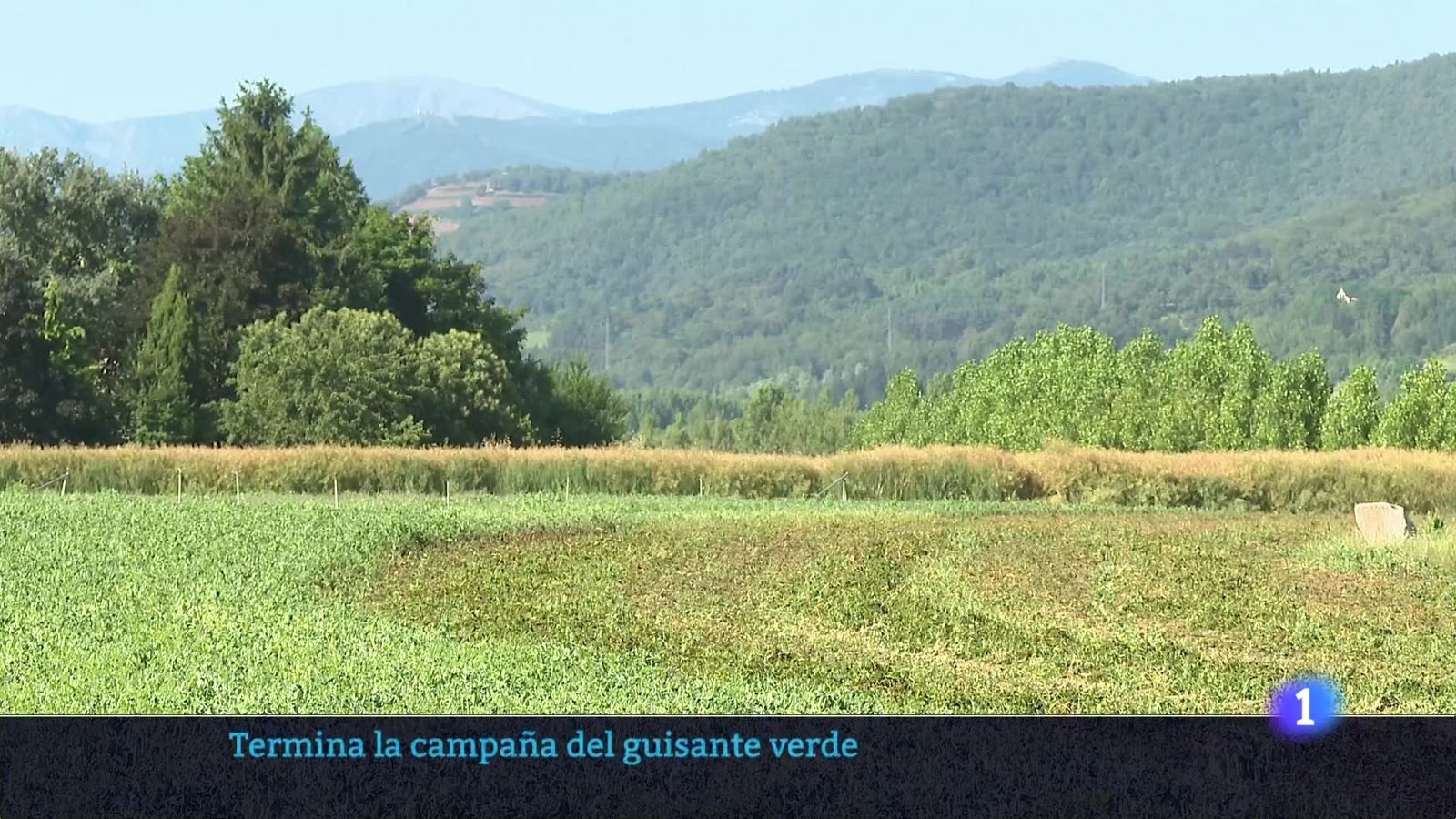 Informativo Telerioja 2 - 04-07-2025 - Ver ahora | Ver