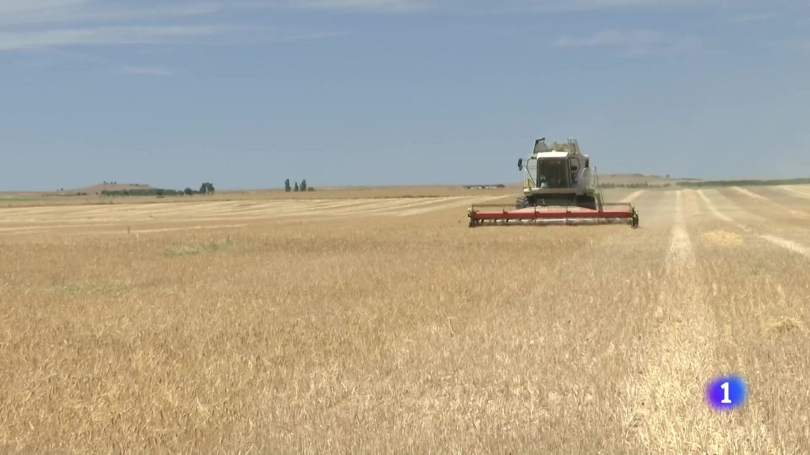 Castilla y León en 1' | Ver