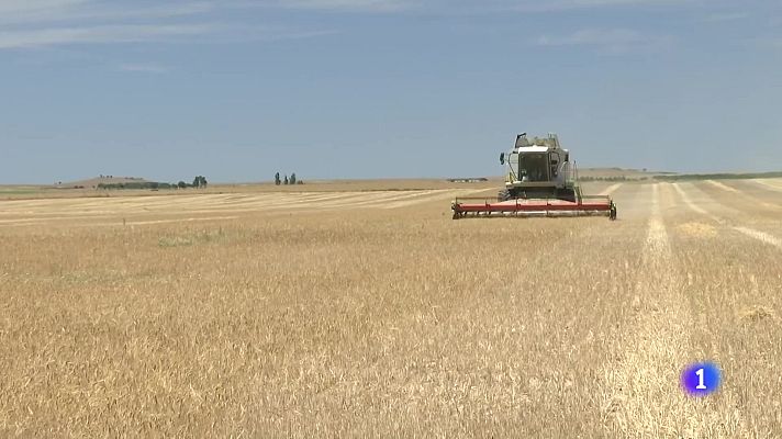 Noticias de Castilla y León - Castilla y León en 1' - 04/07/25