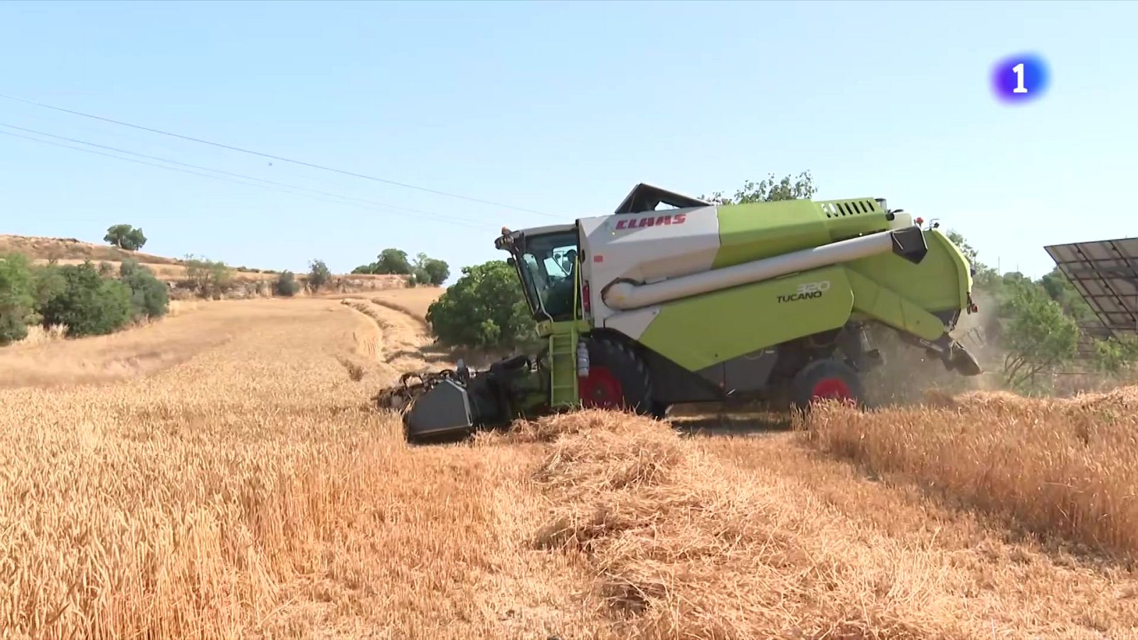 Els pagesos extremen les precaucions davant els incendis - L'Informatiu | Veure