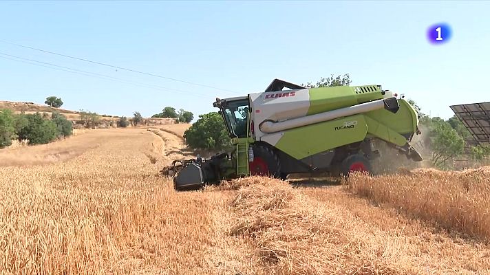 L'Informatiu - Els pagesos extremen les precaucions davant els incendis