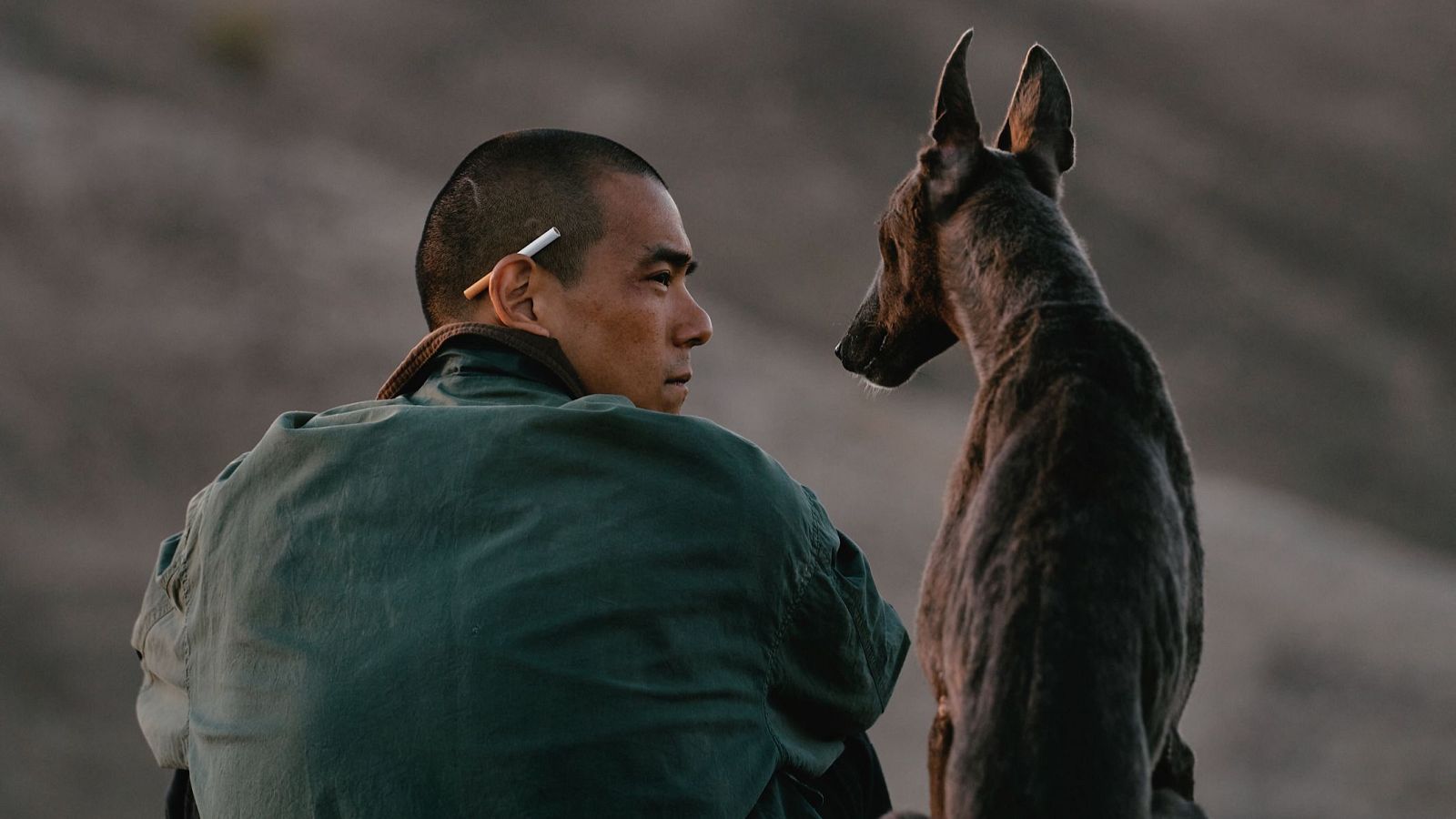 Días De Cine: Black dog | Ver