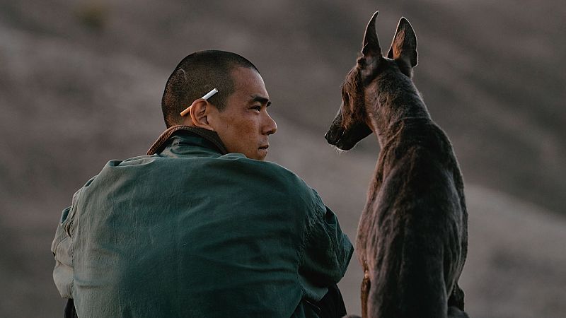 Das De Cine: Black dog | Ver