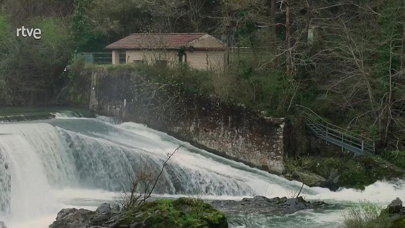 Objetivo Planeta - Bidasoa, salvar el salmn - Objetivo Planeta | Ver