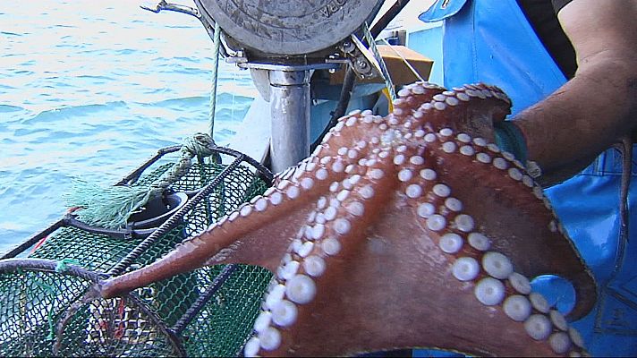 Agrosfera - Agrosfera - 05/07/25