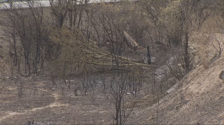 Els pagesos demanen canvis en la gestió forestal
