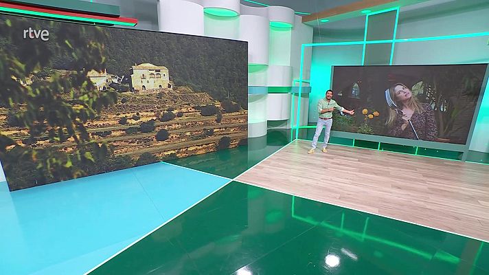 Aquí la Tierra - Aquí la Tierra - 06/07/25