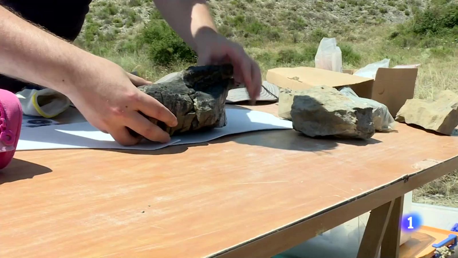 Telerioja en 2 - 07-07-2025 - Ver ahora | Ver