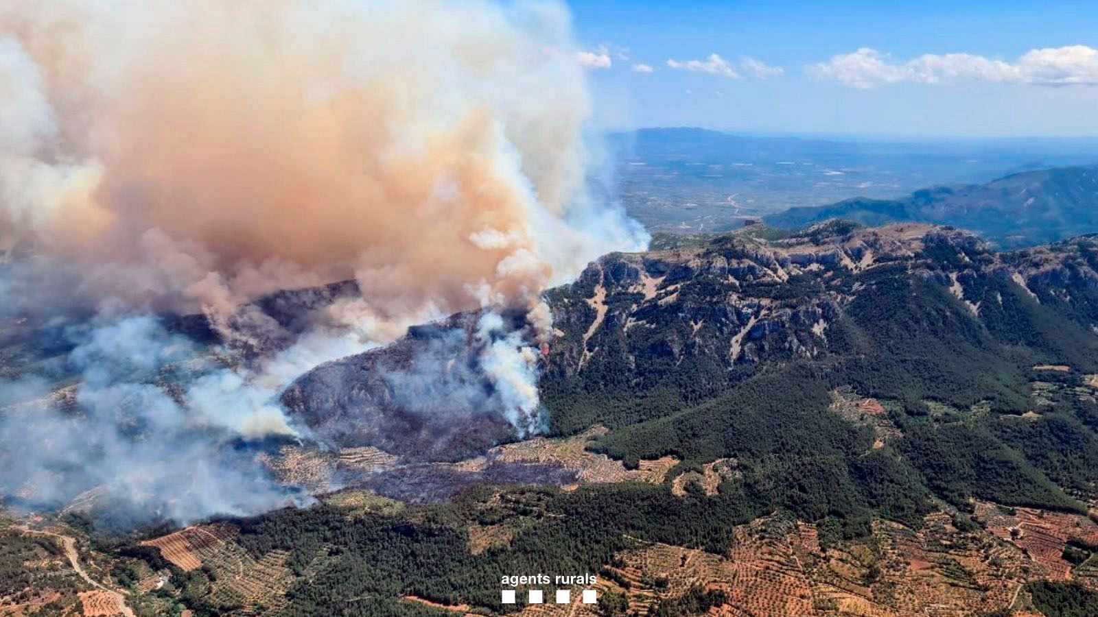 Un incendio forestal en Tarragona obliga a confinar a unos 3.000 vecinos - La tarde en 24h | Ver