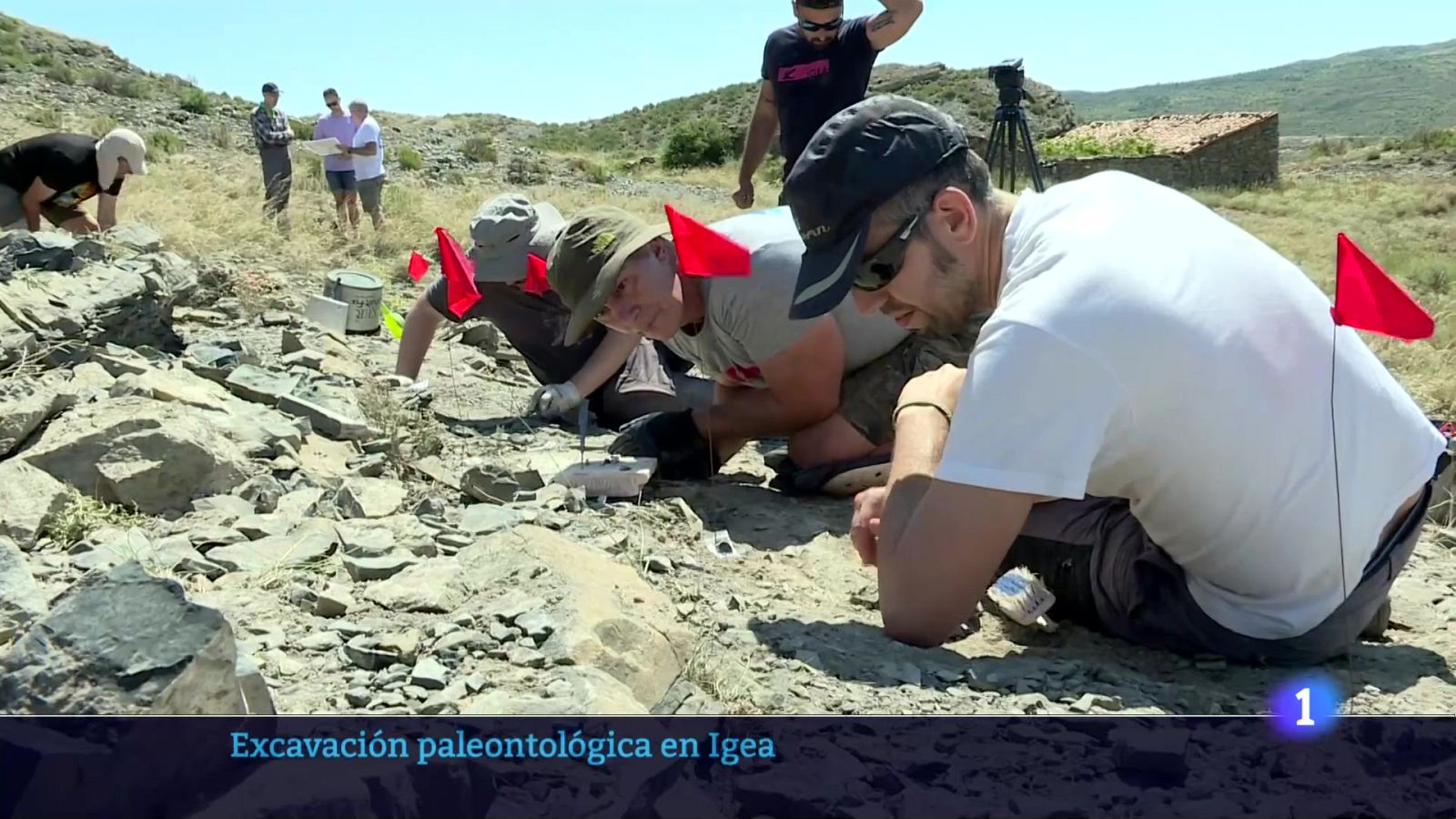 Informativo Telerioja 2 - 07-07-2025 - Ver ahora - Informativo Telerioja | Ver