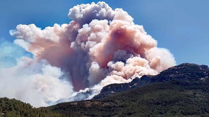 Diario 24 - Diario 24 - 08/07/25