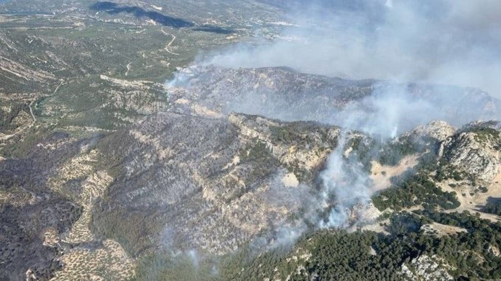 Informativo 24 horas - 14h - 08/07/25 - Informativo 24h | Ver