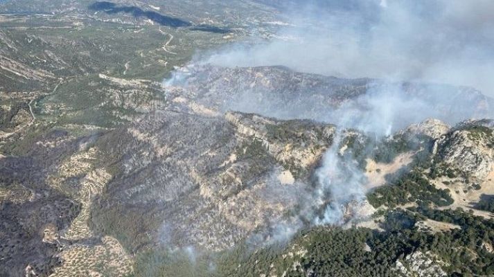 Informativo 24h - Informativo 24 horas - 14h - 08/07/25