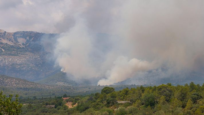El viento complica la extinción del incendio de Tarragona - Telediario 1 | Ver
