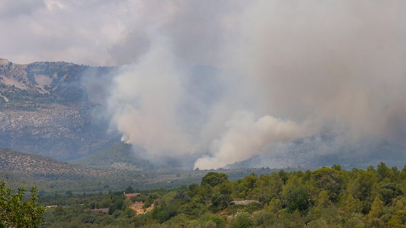 El viento complica la extinción del incendio de Tarragona - Telediario 1 | Ver