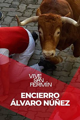 Tercer encierro de San Fermn 2025 con los lvaro Nez