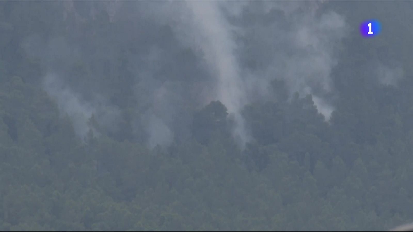 Els Bombers aconsegueixen estabilitzar l'incendi de Paüls - L'Informatiu | Veure