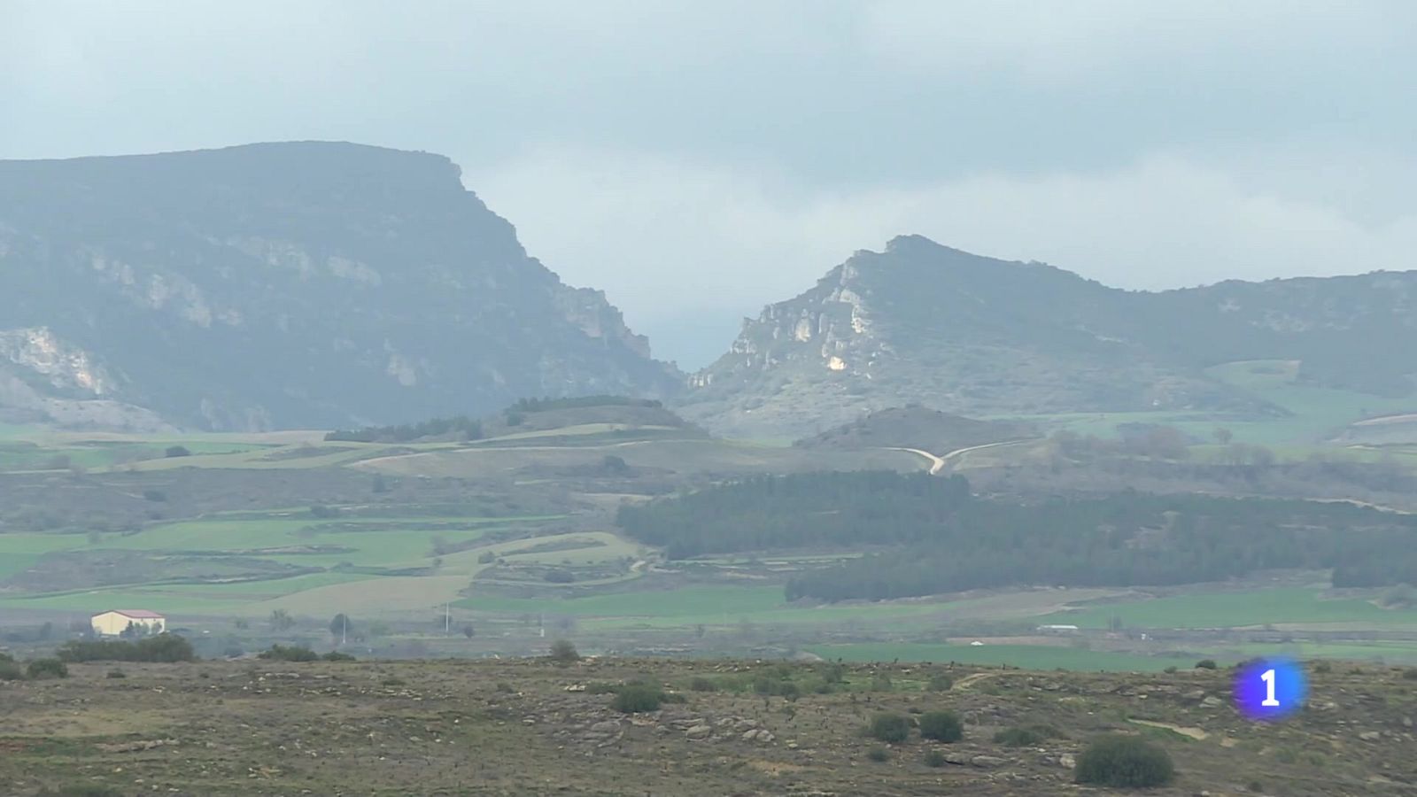 Informativo Telerioja - 10-07-2025 - Ver ahora - Informativo Telerioja | Ver