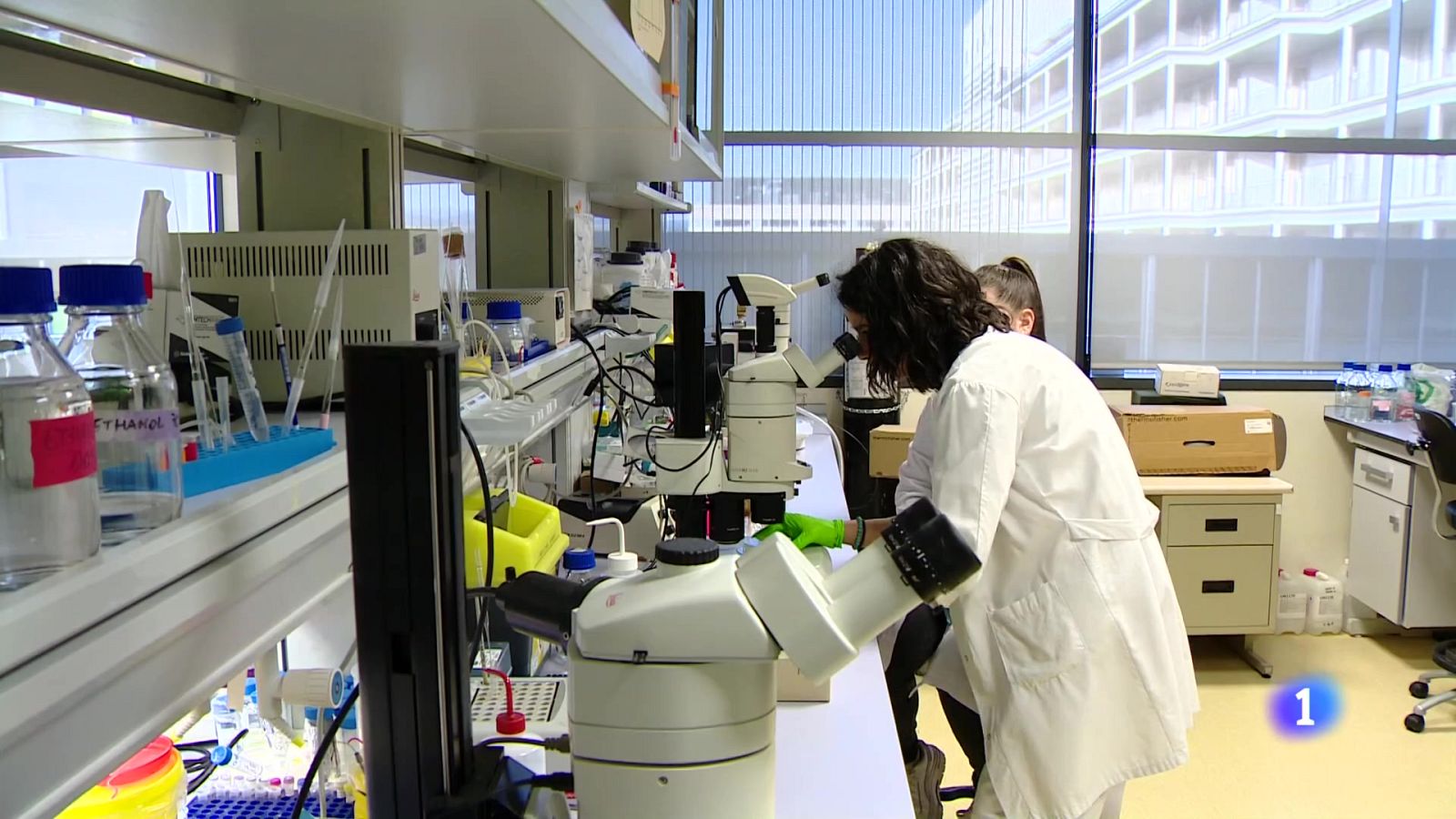 Telerioja en 2 - 10-07-2025 - Ver ahora | Ver