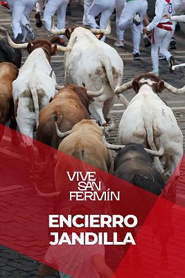 Quinto encierro de San Fermn 2025 con los Jandilla