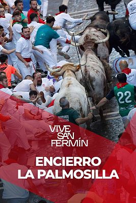 Sptimo encierro de San Fermn 2025 con los toros de La Palmosilla