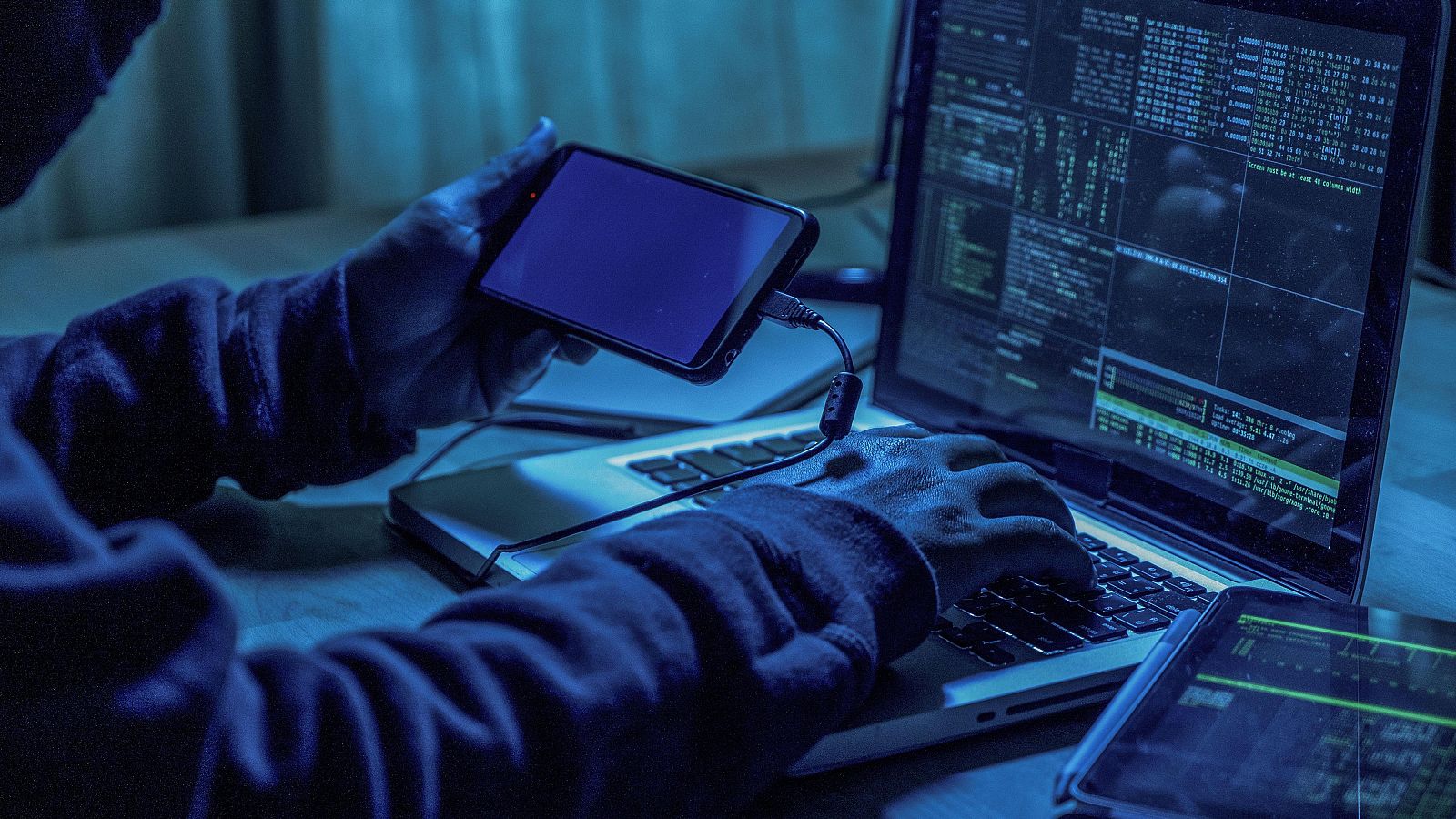 Desmantelada una red de estafas por internet - Fin de semana 24h | Ver