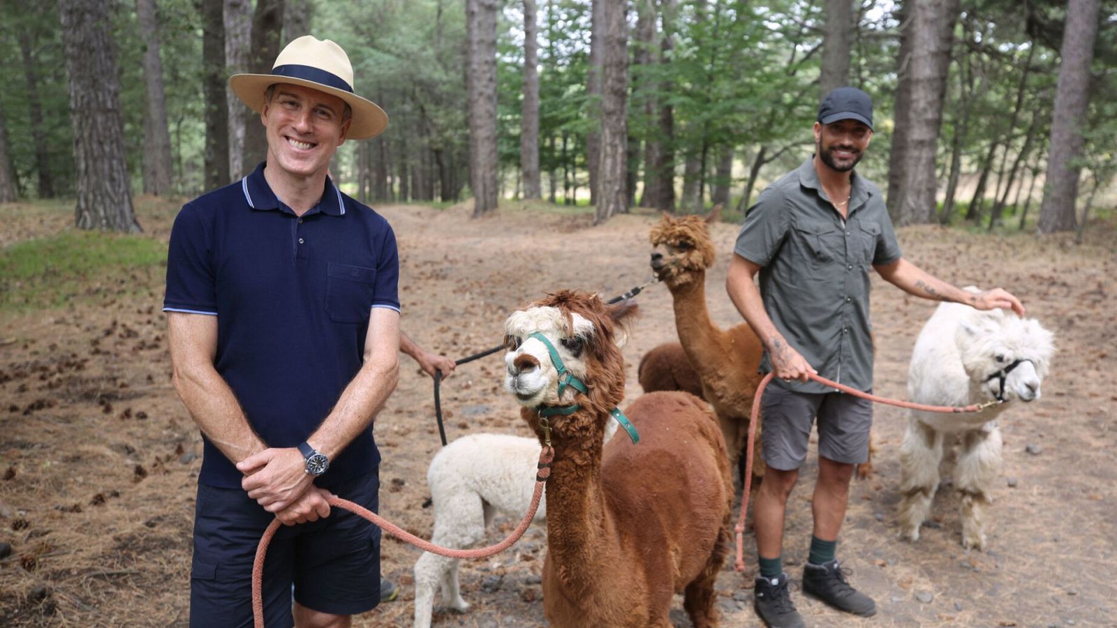 Las aventuras de Antón y Giovanni en Sicilia - Episodio 2 - Las aventuras de Antón y Giovanni en Sicilia | Ver