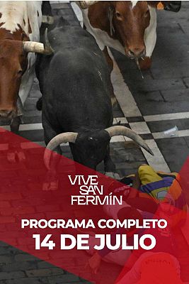 Octavo encierro