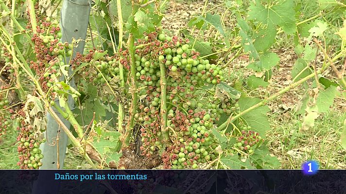 Informativo Telerioja - Telerioja en 2 - 14-07-2025 - Ver ahora