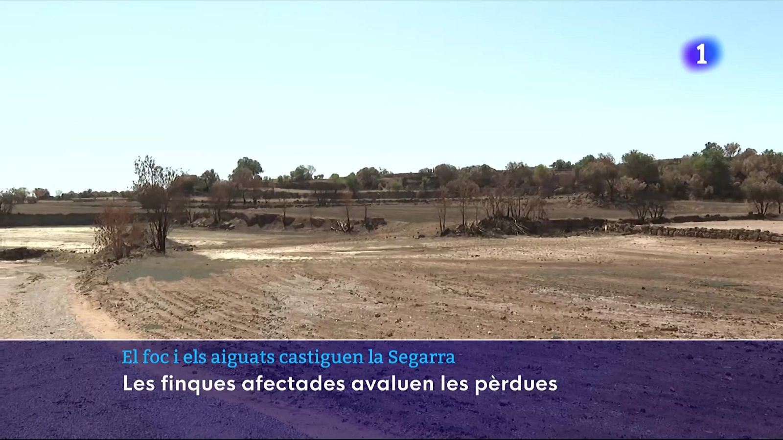 Els alcaldes de la Segarra proposen millores en emergències i avaluen les pèrdues després de l'incendi i les pluges