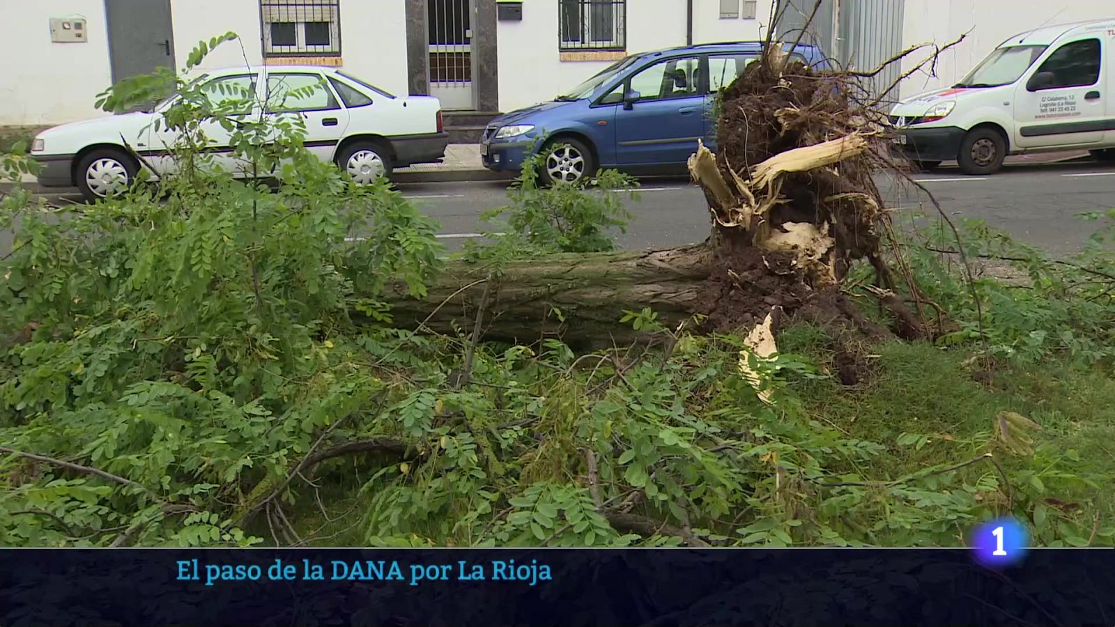 Informativo Telerioja 2 - 14-07-2025 - Informativo Telerioja | Ver