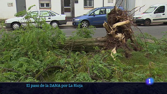 Informativo Telerioja - Informativo Telerioja 2 - 14-07-2025