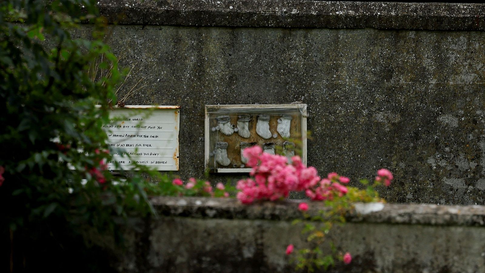 Irlanda busca los restos de casi 800 bebés enterrados en una fosa común | Ver