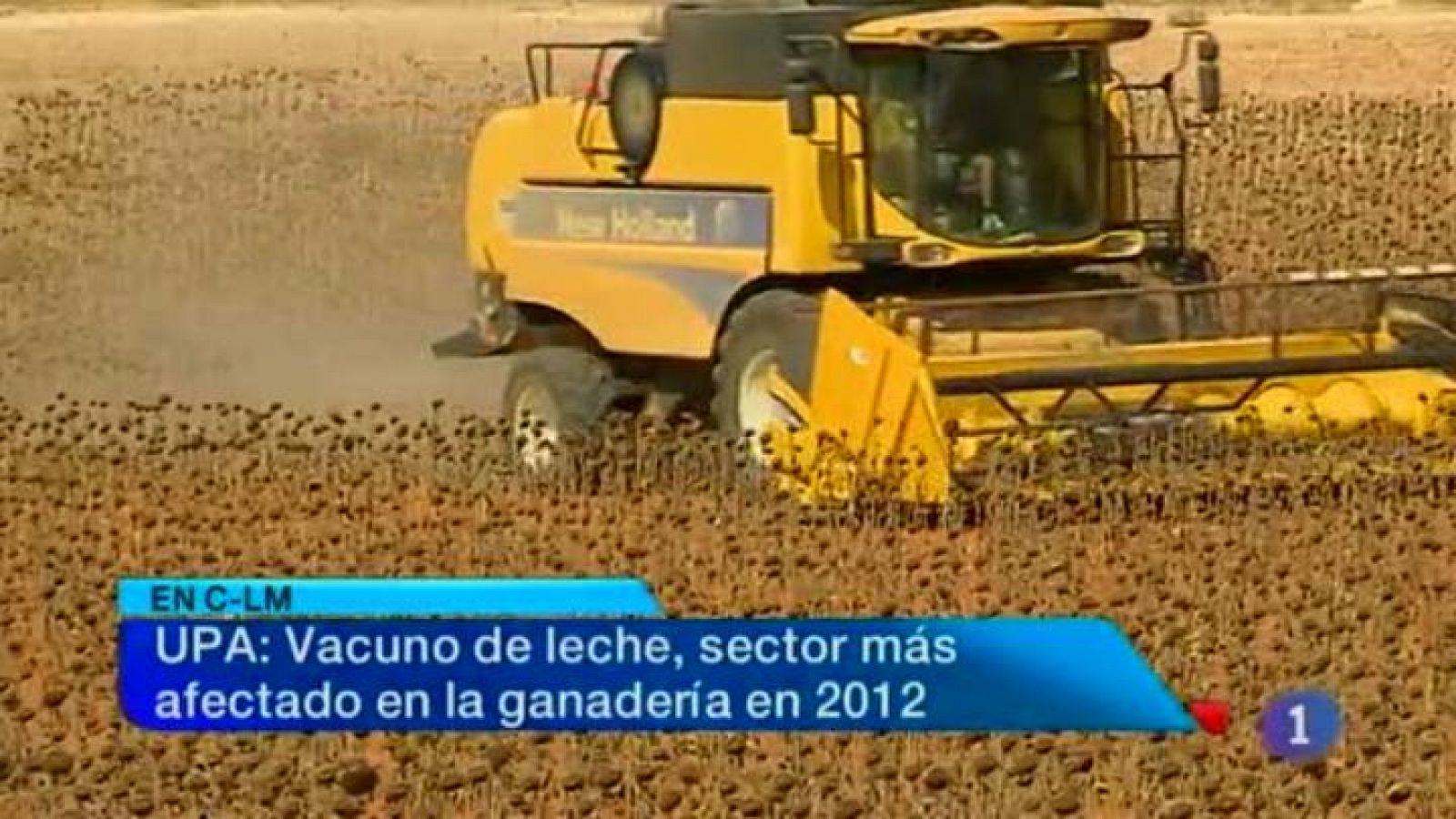 Noticias de Castilla-La Mancha: Noticias de Castilla-La Mancha-16/01/13 | RTVE Play