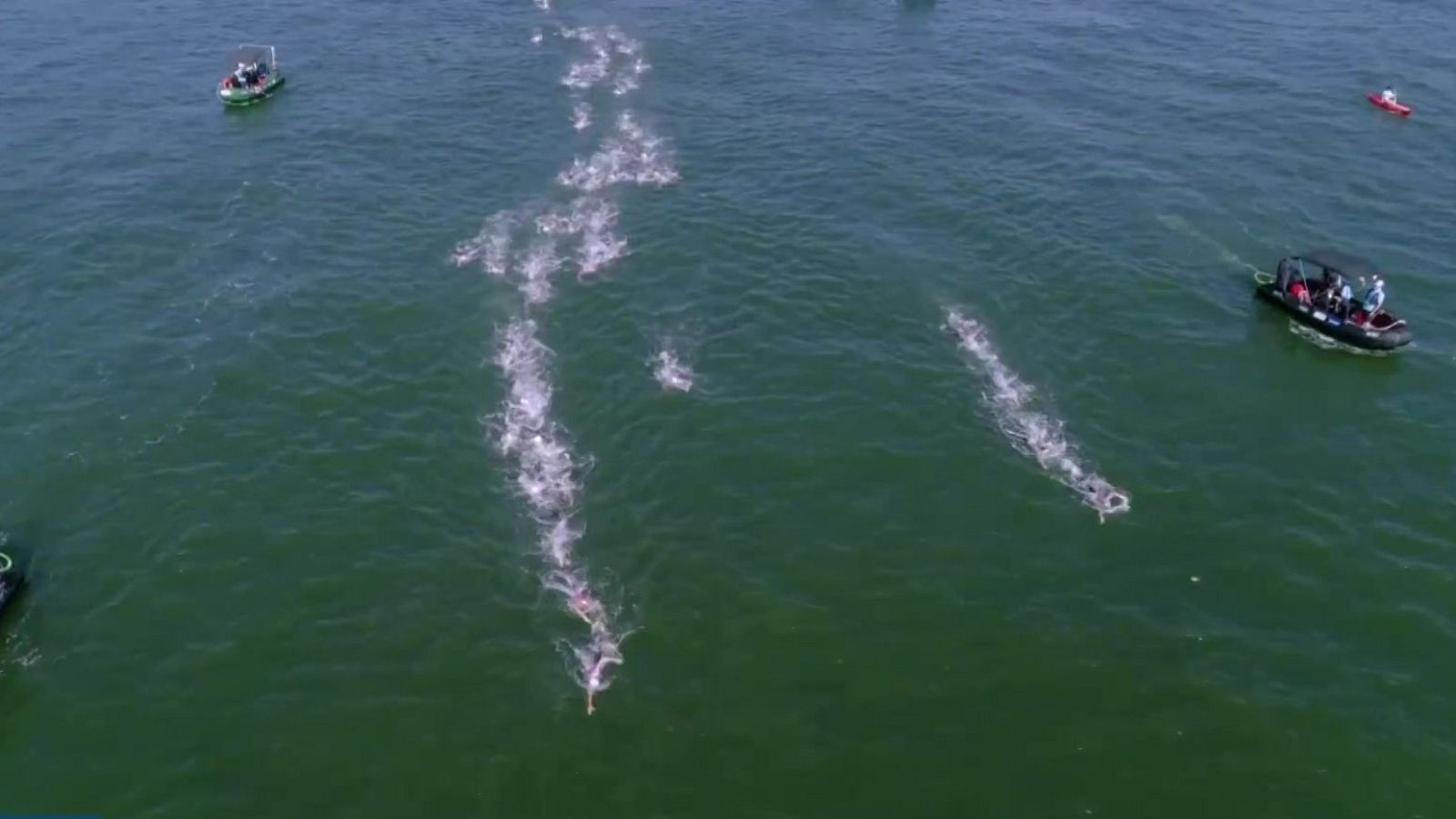 Natación en aguas abiertas - Campeonato del Mundo. 10 KM Femeninos - Natación | Ver